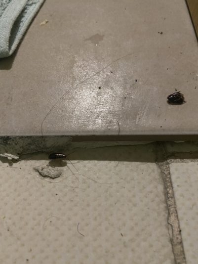 68D3337D-D184-47AD-AC1C-B501230AB130