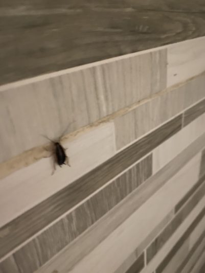 6B132078-9CA5-4E8F-97AC-BCA42FEC6A0C