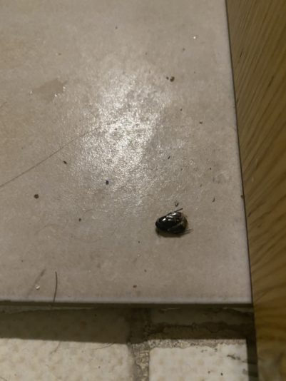 C70052D7-D443-45E6-83AE-156E41E51BEE