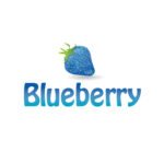 Blueberry Studios